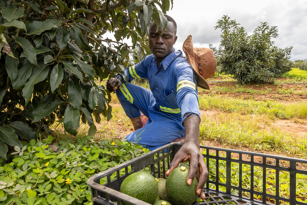 Nava-250402-1007-463